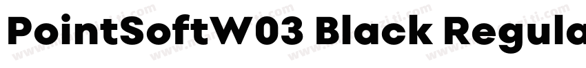 PointSoftW03 Black Regular字体转换
